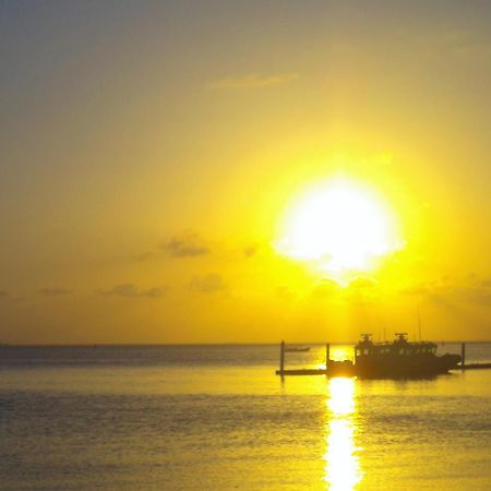Rentalife Playa Playa del Carmen Dış mekan fotoğraf