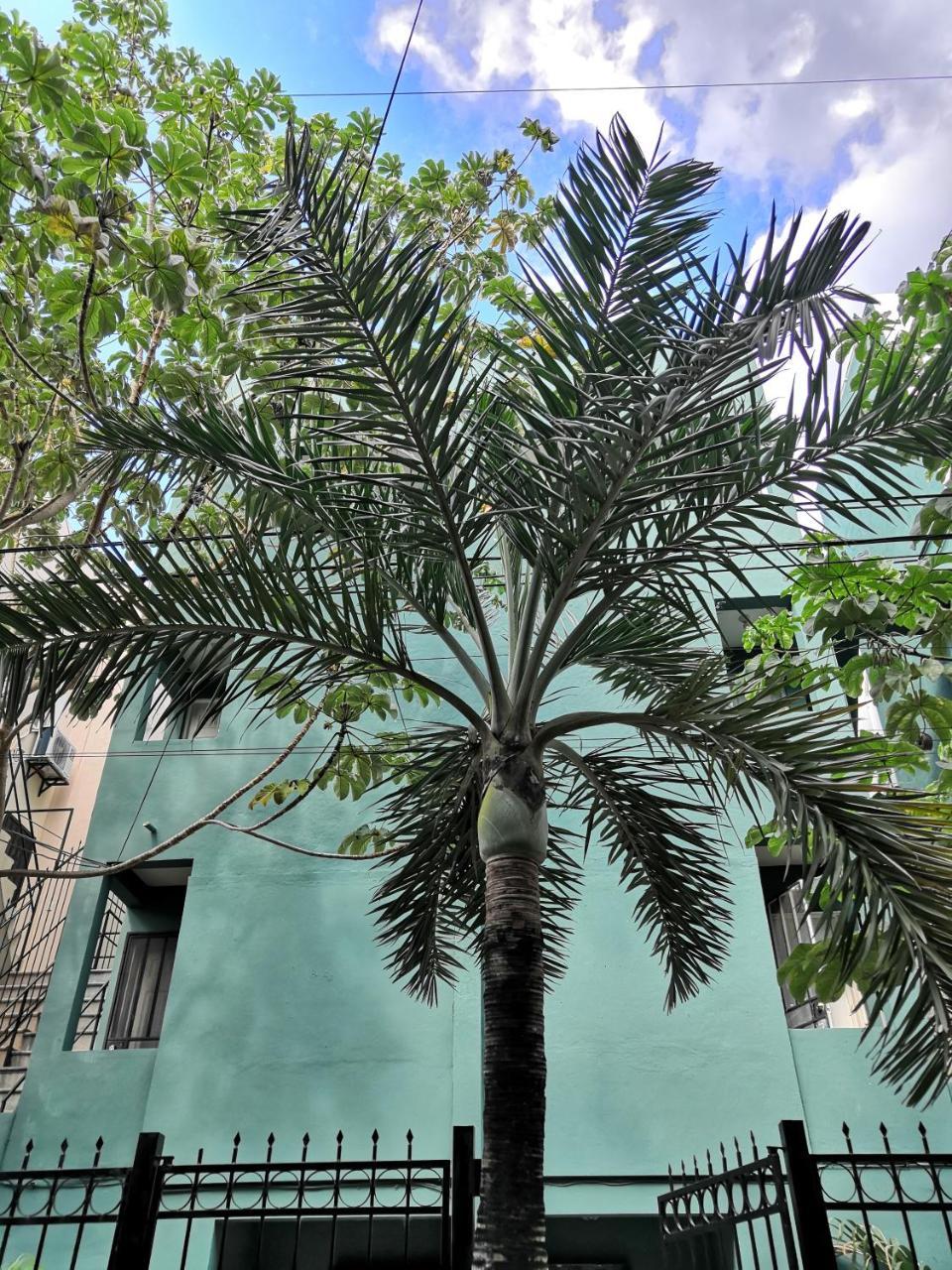 Rentalife Playa Playa del Carmen Dış mekan fotoğraf